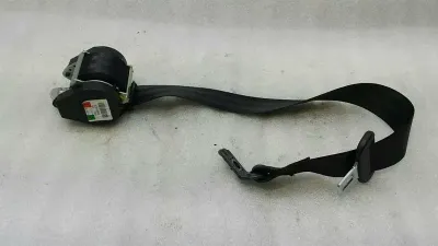 Audi S3 8V a3 Sicherheitsgurt hinten 8V3857805 Sicherheitsgurt Heckgurt