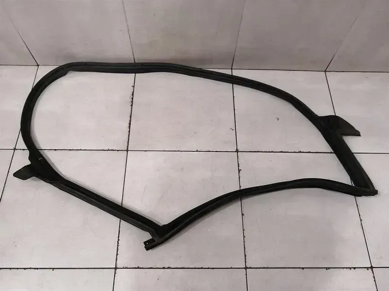 Tesla Model 3 Rear Right Door Seal 1090510-00-L Door Seals Rear Right