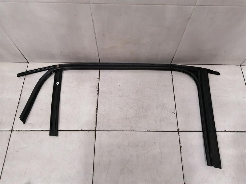 Tesla Model X P100D RLH Door Seal 1032277-00-D Door Seals Rear Left