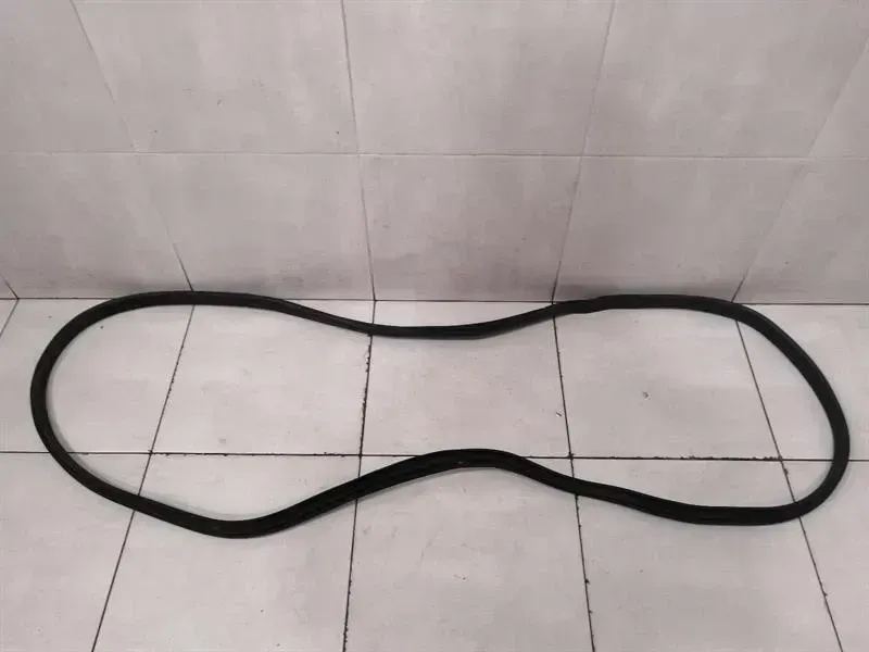 Tesla Model X P100D FLH Door Seal 1032117-00-D Door Seals Front Left