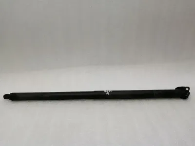 Tesla Model X P100D Boot Deckel Strebe 1065669-00-A Gas Stoßdämpfer Heckklappe