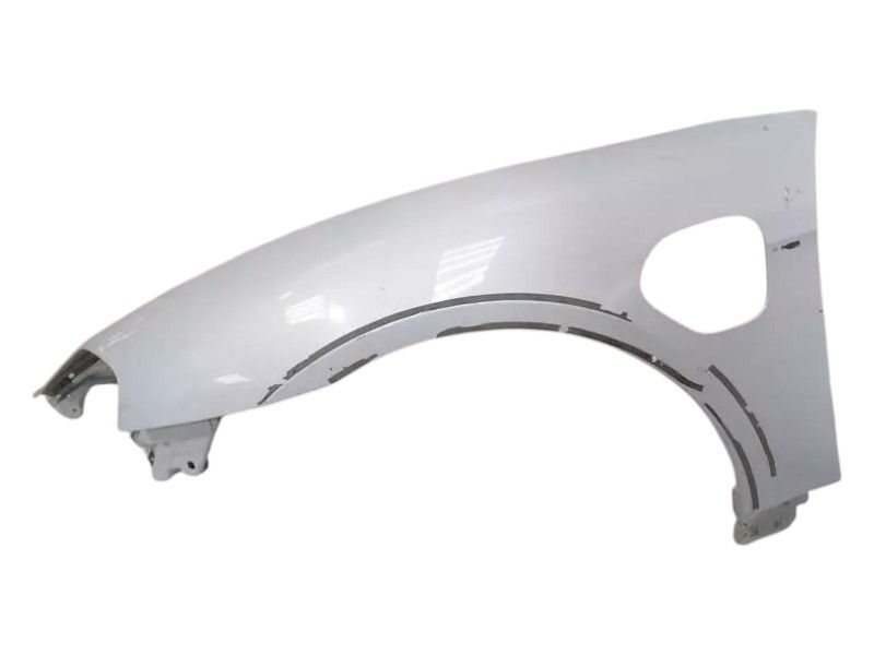 PORSCHE TAYCAN 9J Left Wing 9J1821101AY WITH POWER DOOR