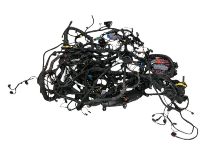 FERRARI ROMA F169 Wiring Loom RHD MAIN