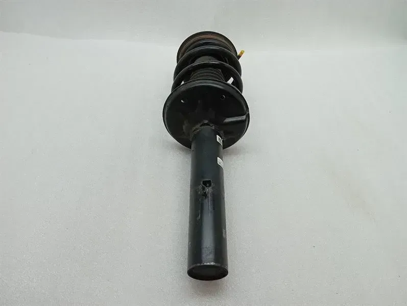 Porsche Cayman 718 shock absorber rear 982512021C shock absorber rear