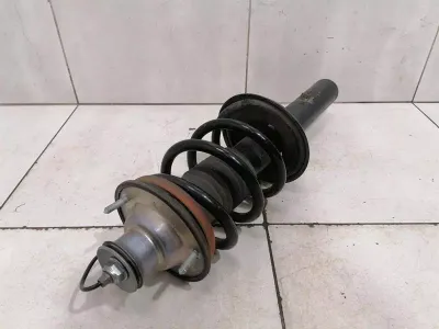 Porsche Cayman 718 shock absorber rear 982512021E shock absorber rear PASM EDC