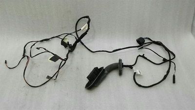 BMW 5 Series F10 528i Türverkabelung hinten links 9291064 Türkabelbaum hinten links