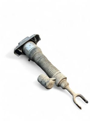 3D0616039T 3D0616039AB 3D0616039AD Air shock absorber front left VW PHAETON (3D) (2002-2016)