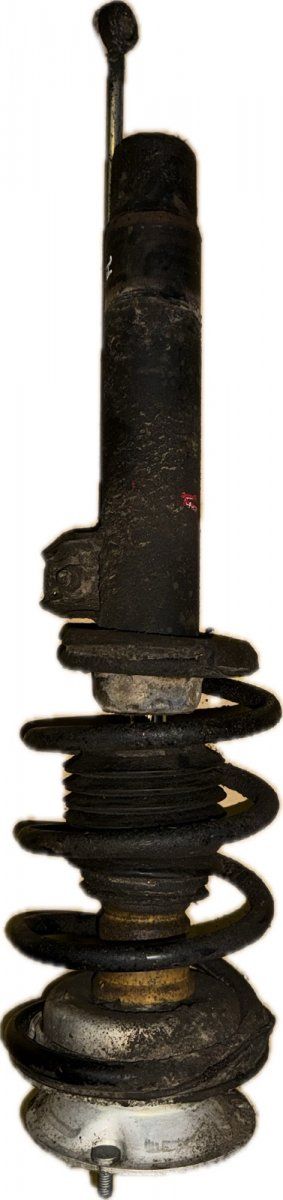 Suspension Leg Front Left BMW X1 (E84) (2009-2015)