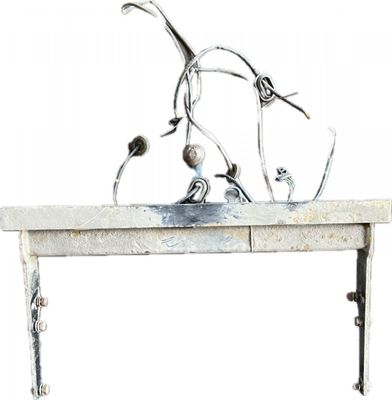 Теглич VW TRANSPORTER T5 / MULTIVAN (7H, 7E, 7J) (2003-2015)