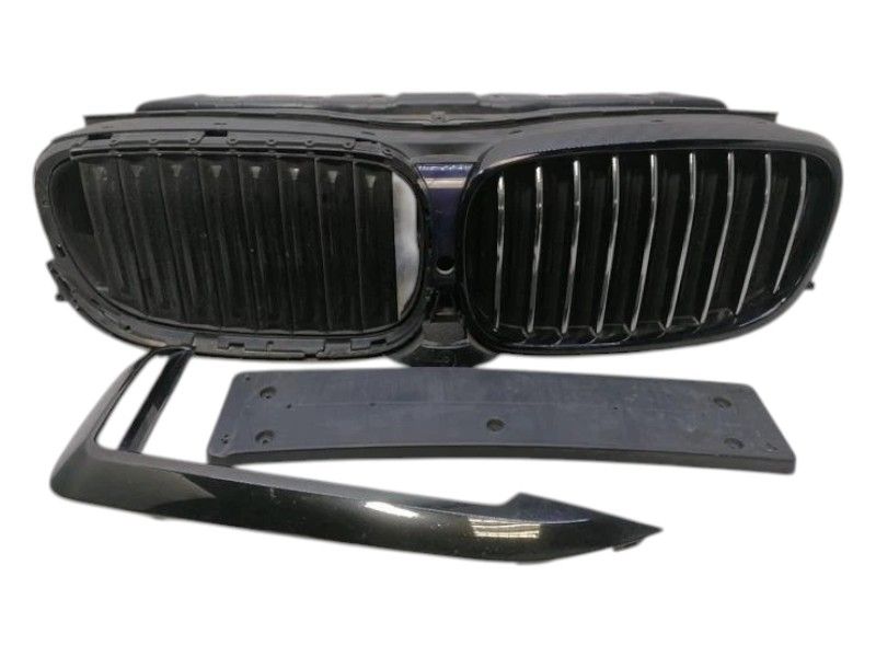 BMW 7 series G11 Front Grille 8091760