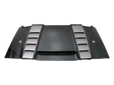 AUDI R8 TYPE 42 V10 5.2 SPYDER Boot Lid 427825300