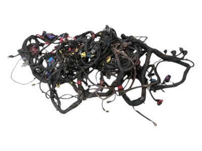 FERRARI 458 F142 Spider Wiring Loom MAIN