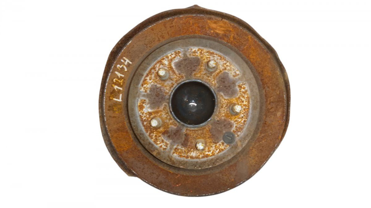 Wheel bearing housing rear left NISSAN JUKE I (F15) (2010-2019)