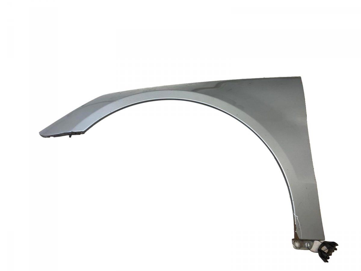 A2518800106 Fender Front Left MERCEDES-BENZ R-CLASS (W251) (2006-2013)