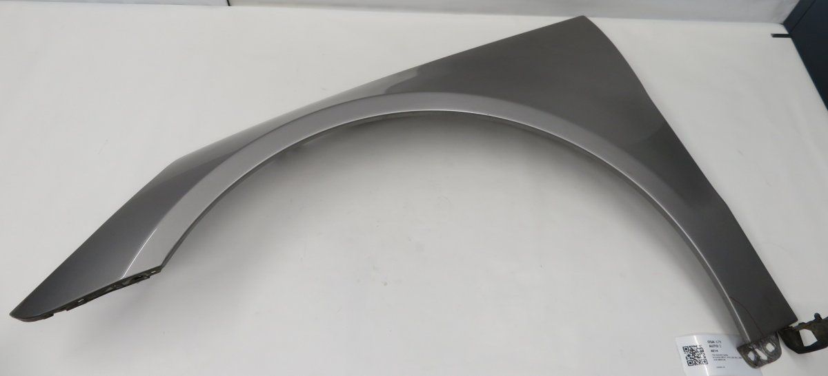 A2518800106 2518800106 Fender Front Left MERCEDES-BENZ R-CLASS (W251) (2006-2013)