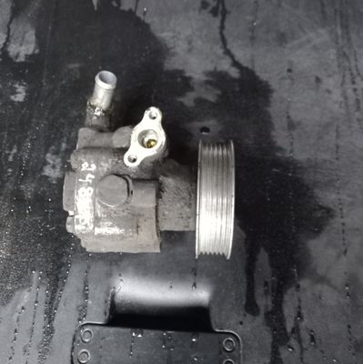 Power steering pump VW TRANSPORTER T5 / MULTIVAN (7H, 7E, 7J) (2003-2015)