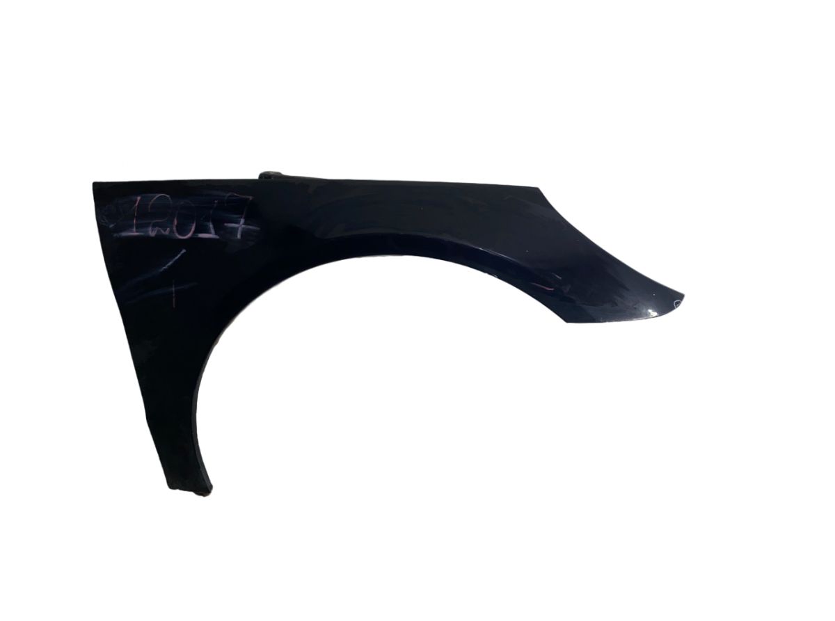 2518800206 Fender Front Right MERCEDES-BENZ R-CLASS (W251) (2006-2013)