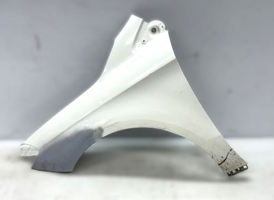 A2468810101 Fender Front Left MERCEDES-BENZ B-CLASS (W246, W242) (2011-2018)