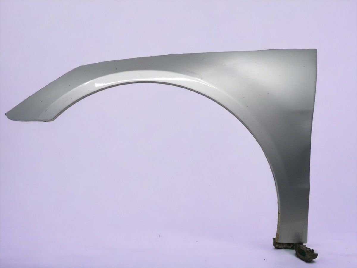 A2518800106 2518800106 Fender Front Left MERCEDES-BENZ R-CLASS (W251) (2006-2013)