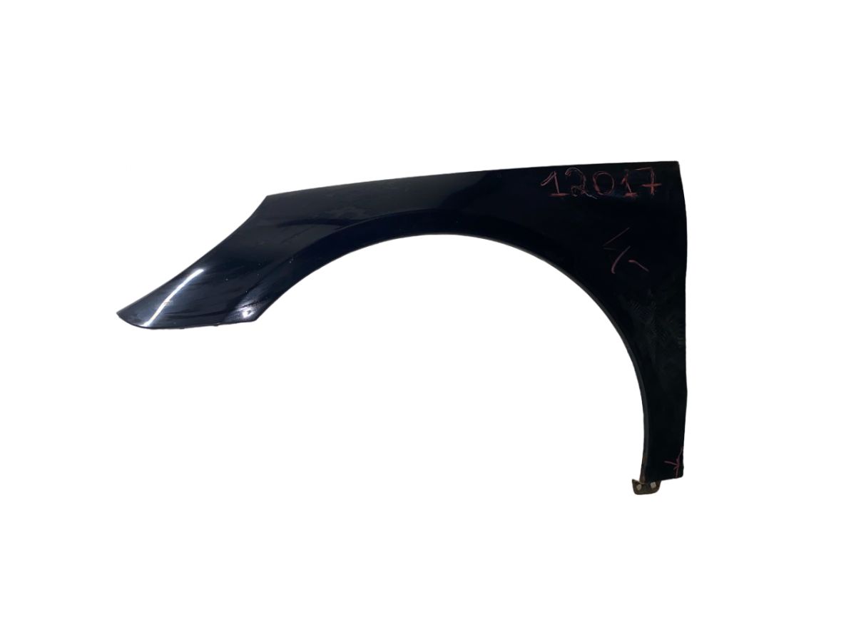 2518800506 Fender Front Left MERCEDES-BENZ R-CLASS (W251) (2006-2013)