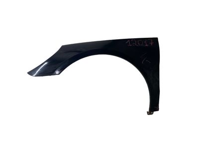 2518800506 Skärm Fram Vänster MERCEDES-BENZ R-KLASS (W251) (2006-2013)