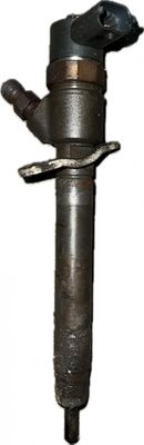 Fuel Injector VOLVO V70 III (BW) (2007-2016)