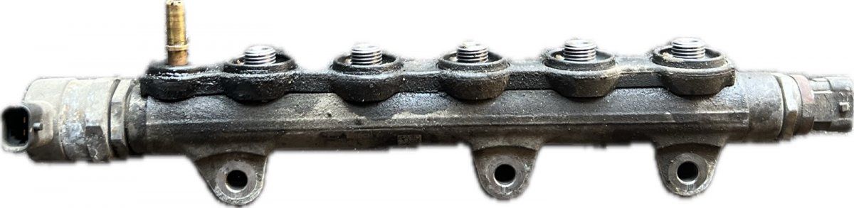 Fuel Distributor / fuel rail NISSAN X-TRAIL II (T31) (2007-2013)