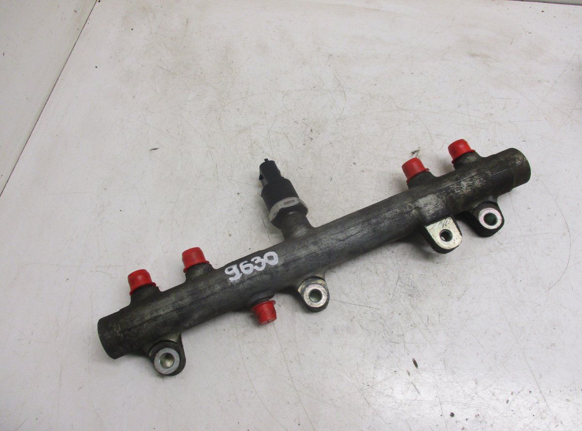 0445224009 Fuel Distributor / fuel rail CITROËN JUMPER I (1994-2002)