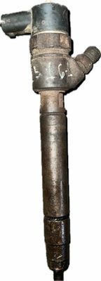 Fuel Injector VOLVO V70 III (BW) (2007-2016)