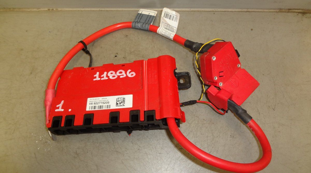 Battery Cable BMW 4 (F32, F33, F36, F82, F83) (2013-2020)