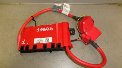 Akumulatora kabelis BMW 4 (F32, F33, F36, F82, F83) (2013-2020)