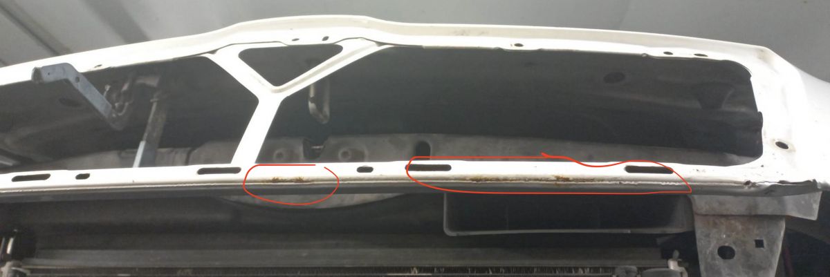 1Z0823031B Bonnet SKODA OCTAVIA II (1Z) (2004-2013)