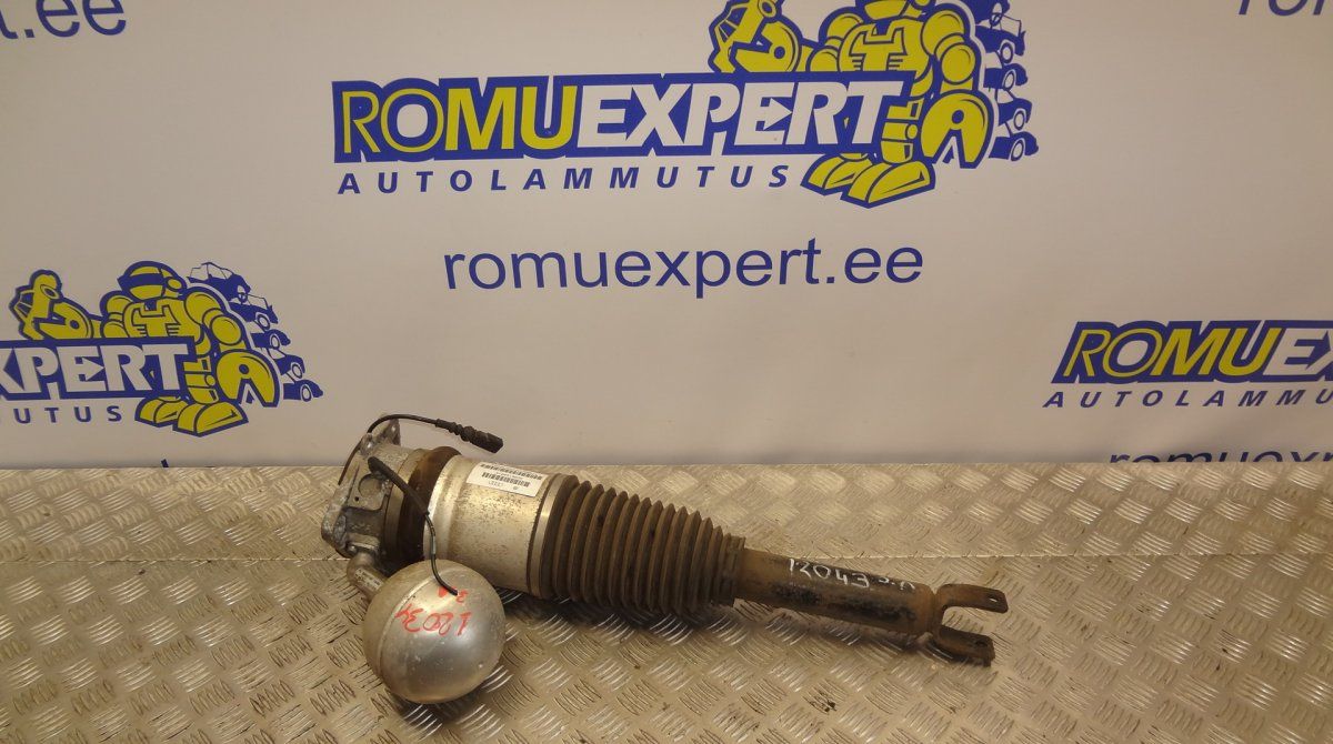 Air shock absorber rear left VW PHAETON (3D) (2002-2016)