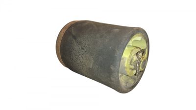 Air shock absorber rear left BMW X5 (E53) (2000-2007)