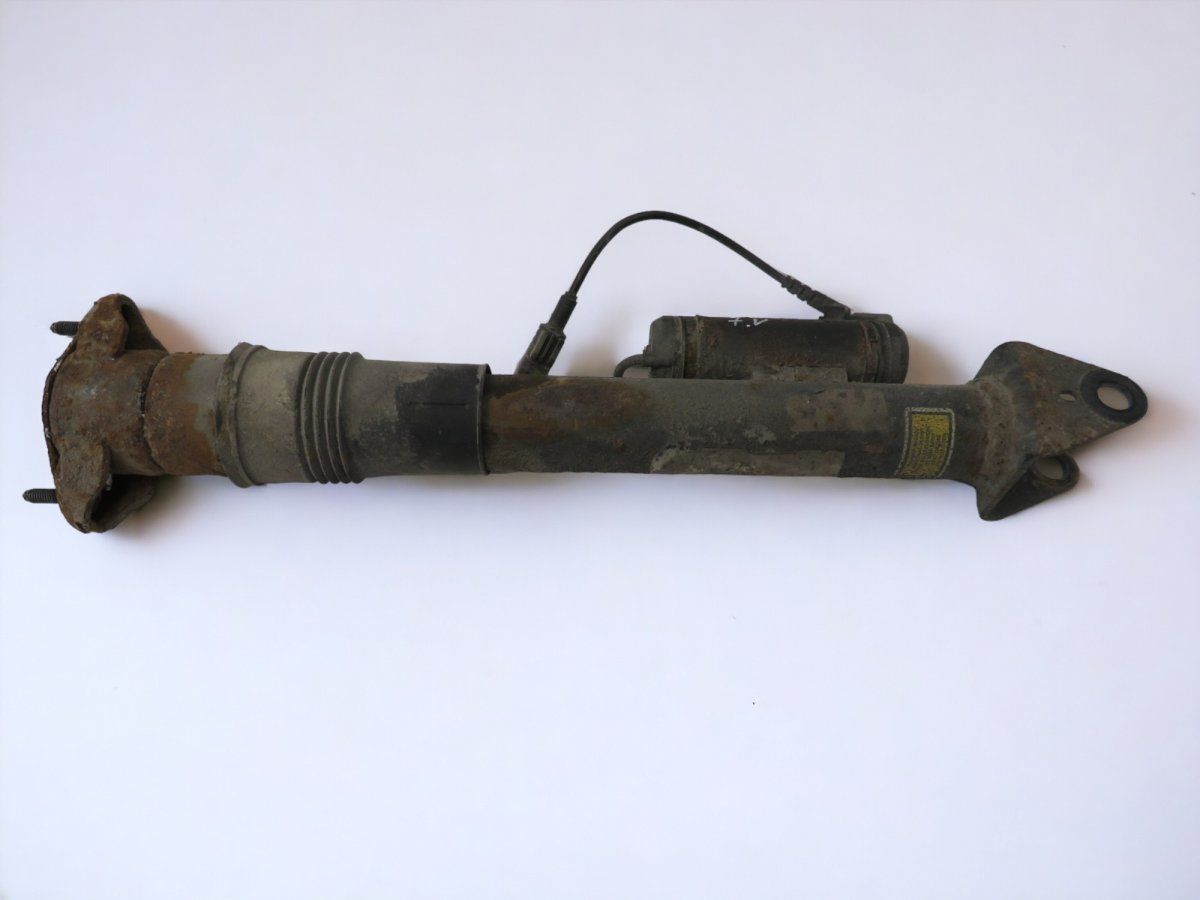 A2513203131 A2513202931 A2513201831 A2513200931 Shock Absorber Rear Left MERCEDES-BENZ R-CLASS (W251) (2006-2013)