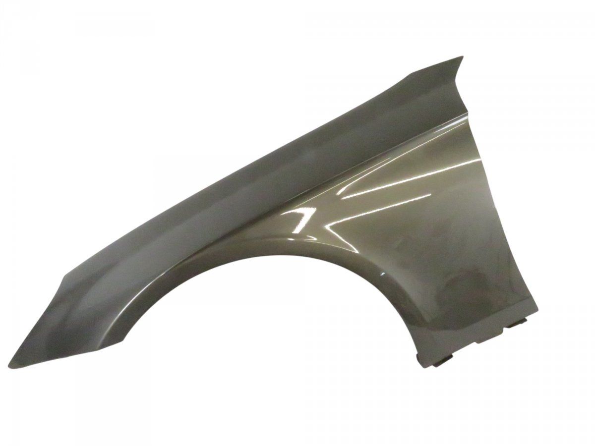 A2198800718 Fender Front Left MERCEDES-BENZ CLS (C219) (2004-2010)