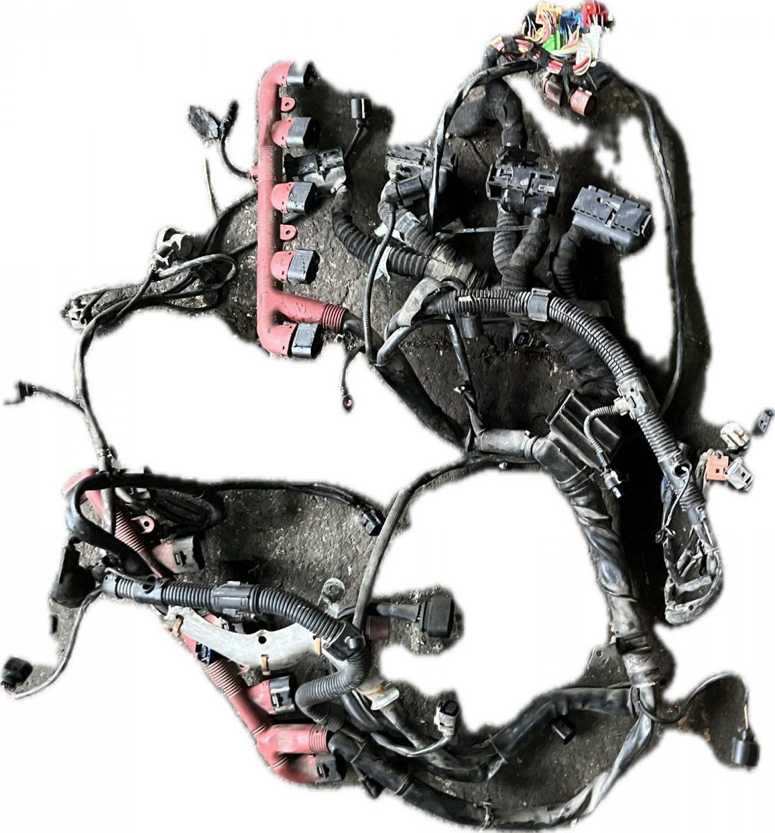 Engine wiring harness AUDI A8 (4E) (2002-2010)