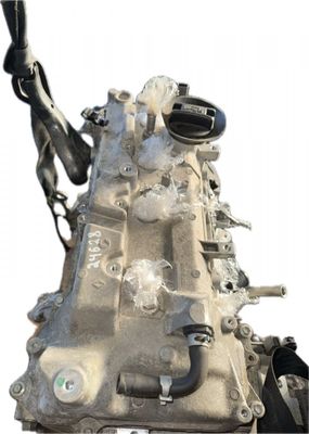 Engine DACIA DUSTER II (2017-2024)