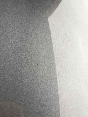 Priekšējās labās durvis BMW X1 (E84) (2009-2015)