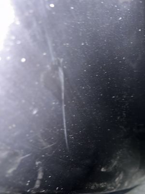 Motorhuv MERCEDES-BENZ E-KLASS Coupé (C207) (2009-2016)