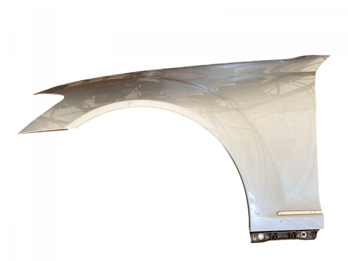 A2218800118 Fender Front Left MERCEDES-BENZ S-CLASS (W221) (2005-2013)
