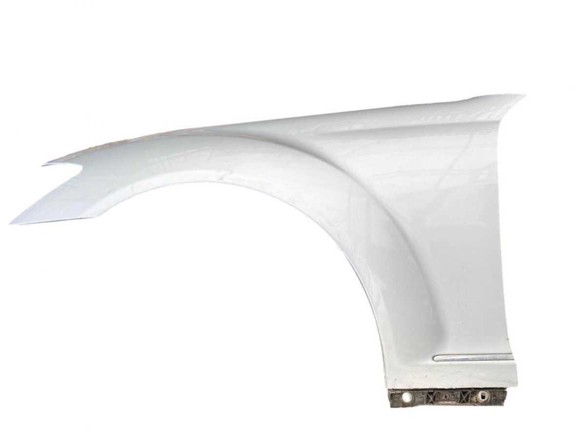 A2218800118 Fender Front Left MERCEDES-BENZ S-CLASS (W221) (2005-2013)