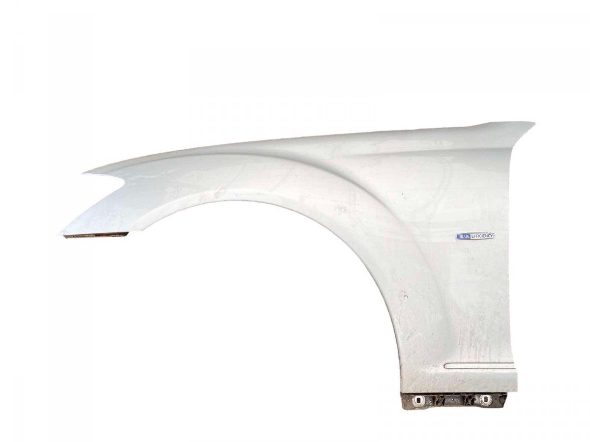 A2218800118 Fender Front Left MERCEDES-BENZ S-CLASS (W221) (2005-2013)