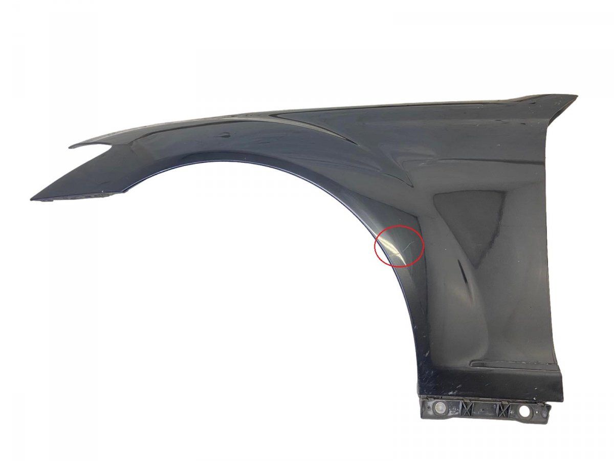 A2218800118 Fender Front Left MERCEDES-BENZ S-CLASS (W221) (2005-2013)