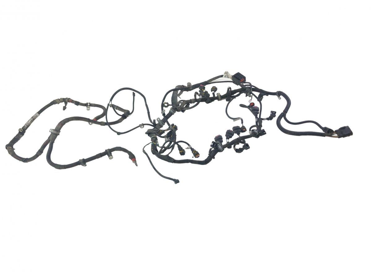 244571 Engine wiring harness MASERATI QUATTROPORTE III (03.04-)