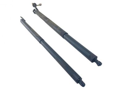 2273813 Bootlid / tailgate strut left FORD KUGA II (DM2, TF) (2012-2019)