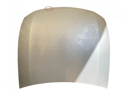 5330130450 Bonnet LEXUS GS III (2005-2011)