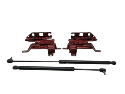 MERCEDES GT C190 GTS S COUPE Bonnet Hinge Set A1978800028