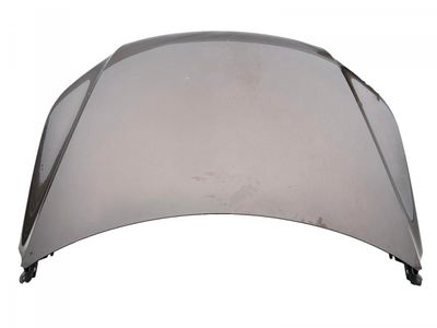5N0823031D Bonnet VW TIGUAN I (5N) (2007-2018)