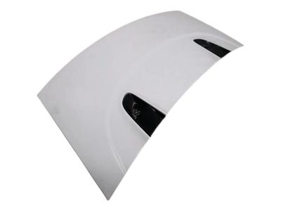 AUDI R8 TYPE 42 V10 5.2 SPYDER Багажник 427827025